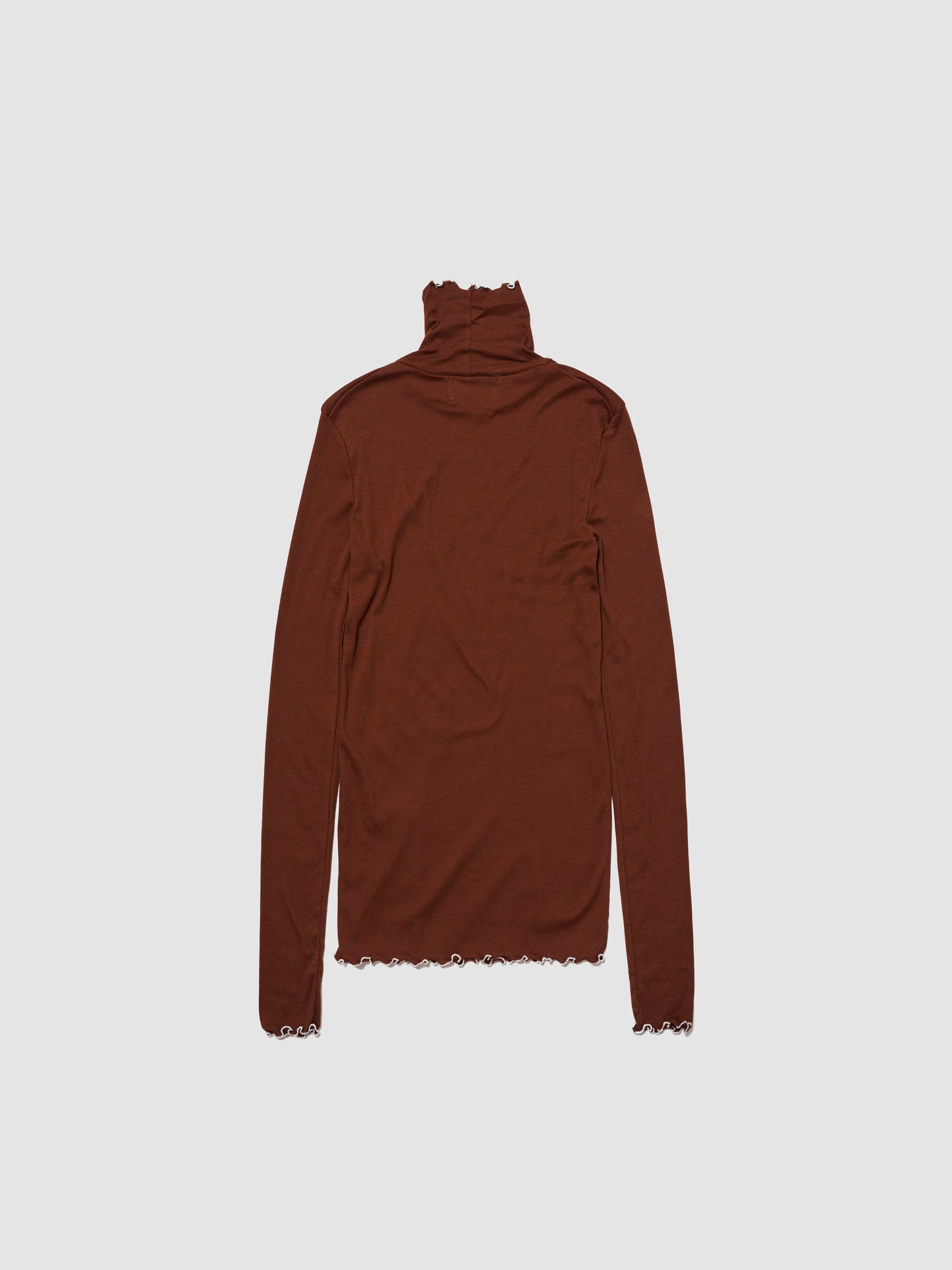 SINGLE TURTLE LS/ BROWN